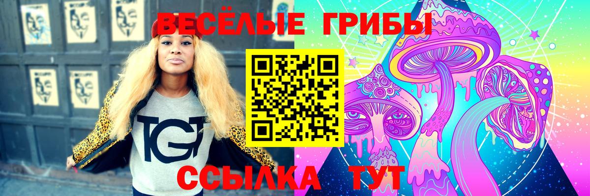 Псилоцибиновые грибы MAGIC MUSHROOMS Балабаново
