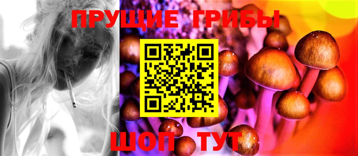 Галлюциногенные грибы Magic Shrooms  Вход с VPN  Балабаново  Псилоцибиновые грибы GOLDEN TEACHER 